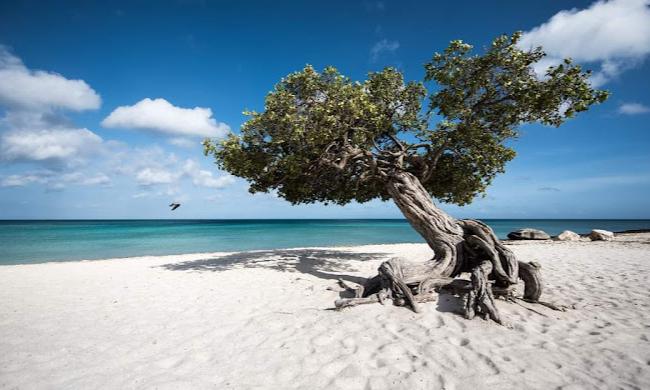 ARUBA