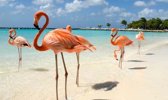 Aruba