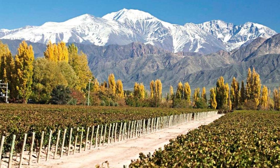 Mendoza 