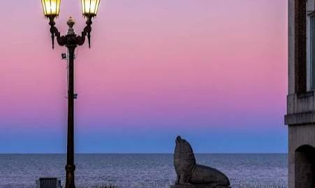 MAR DEL PLATA
