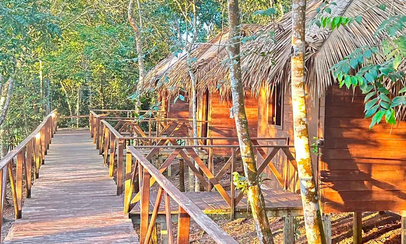 AMAZONAS